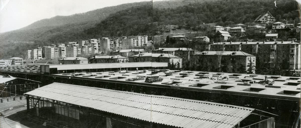41.jpg 41.jpg