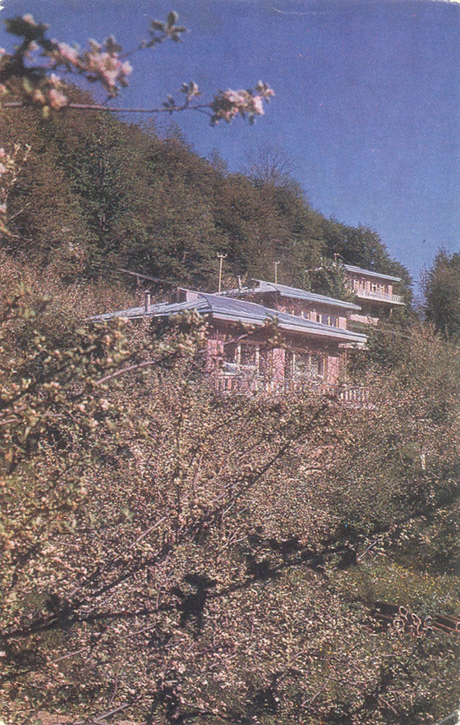 37.jpg 37.jpg